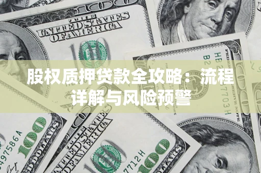 北京股权质押贷款全攻略：流程详解与风险预警
