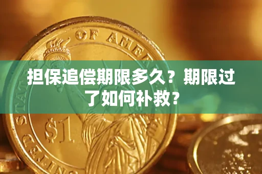 北京担保追偿期限多久？期限过了如何补救？