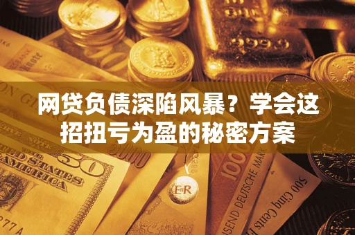 北京网贷负债深陷风暴？学会这招扭亏为盈的秘密方案